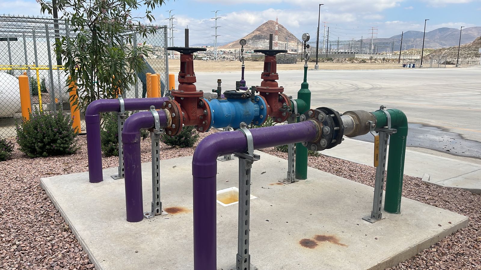 WhatsApp Image 2023-11-14 at 10.38.01