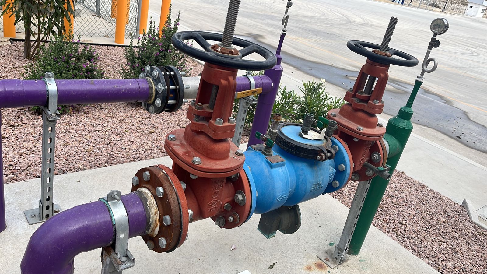 WhatsApp Image 2023-11-14 at 10.38.02